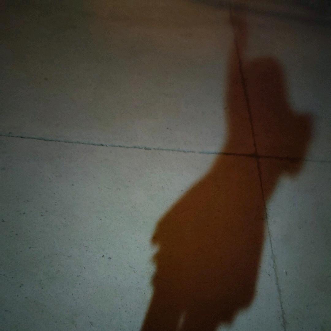 ᰔᩚ☘᭄是查查吖ꦿ ˝ঞ