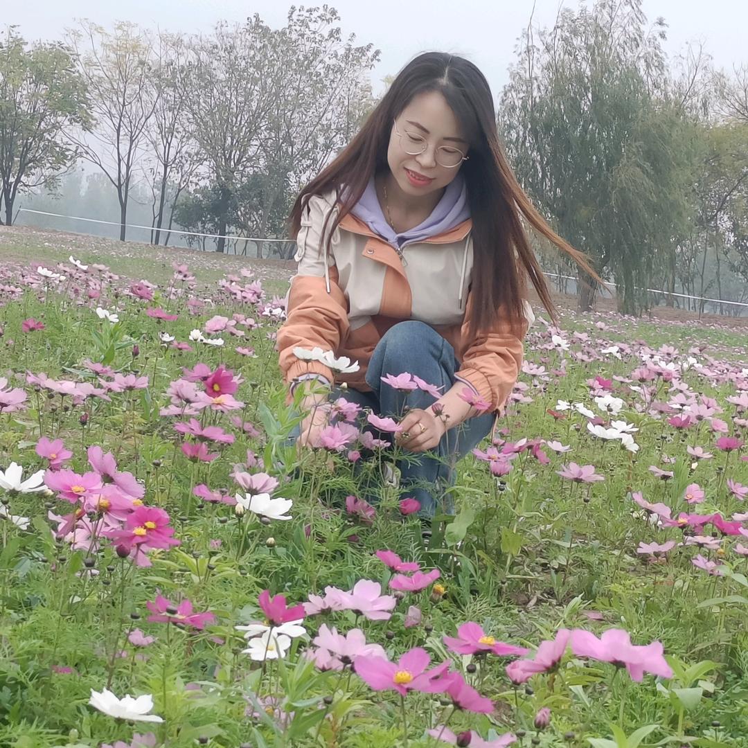 柠檬树上聪明果