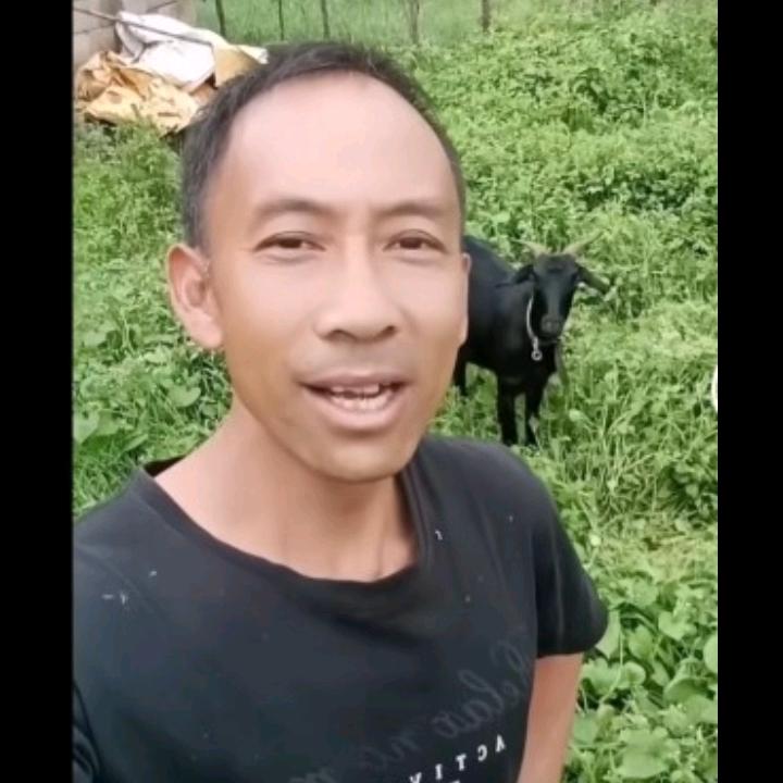羊槽哥