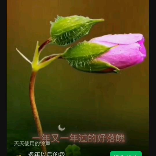 四季流浪