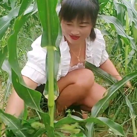 窝边草