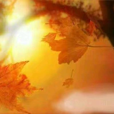 启民书画⁹²³³