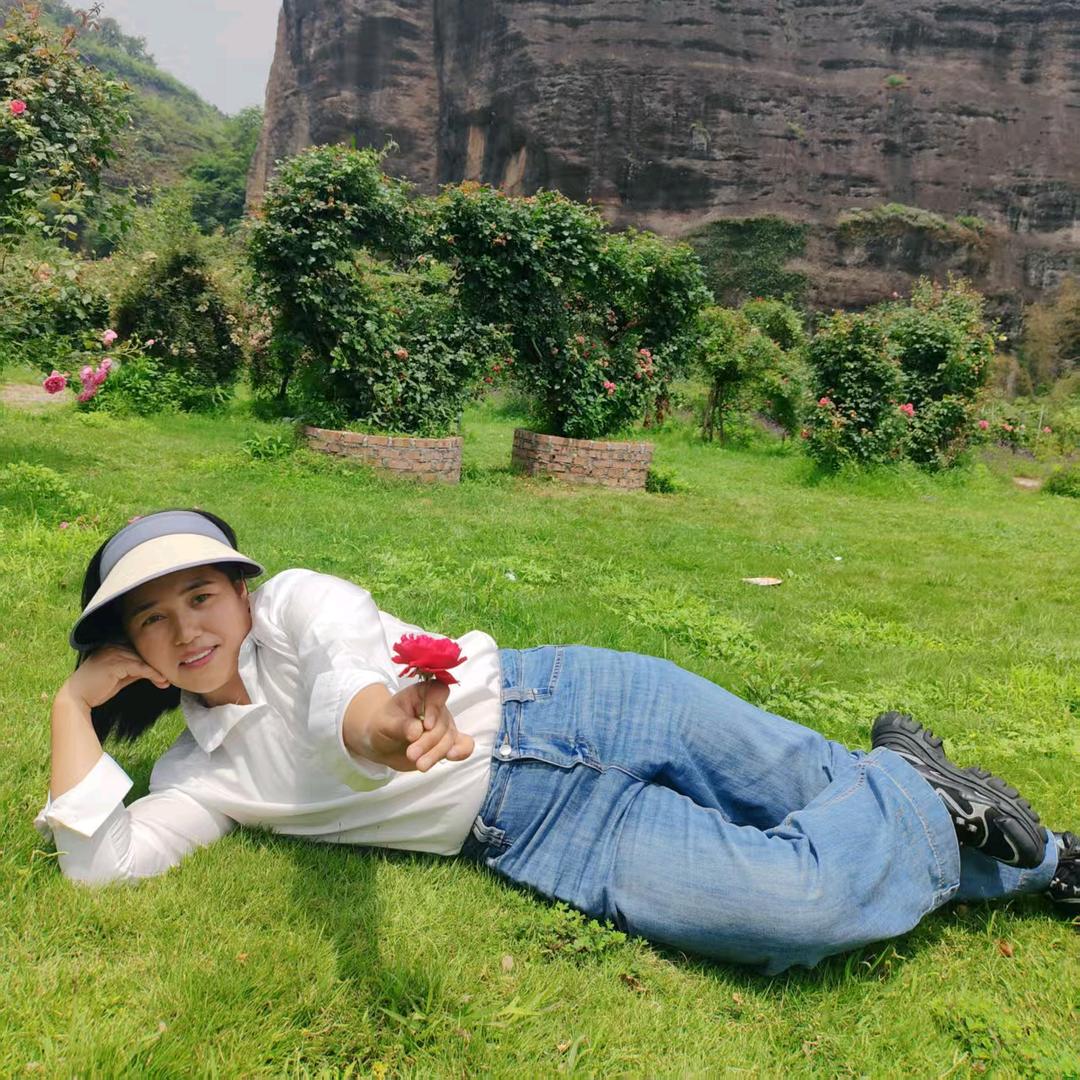 会跳舞的波斯猫