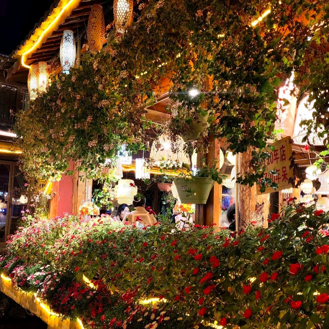 红杉（见过Lisa版）