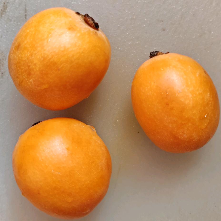 今生缘头像