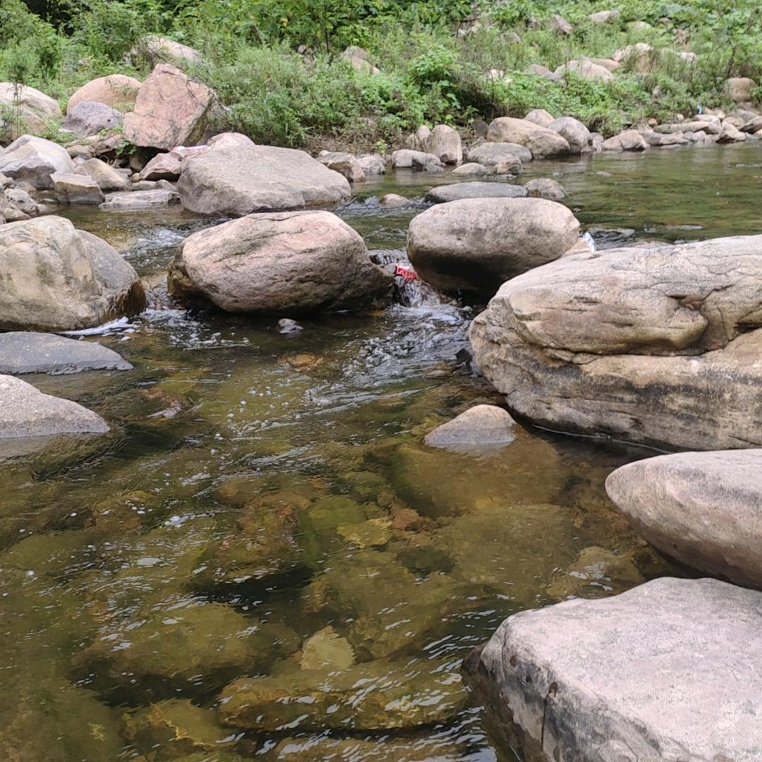 xingfu85346