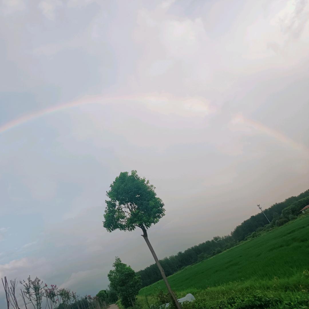 🌈Mr.Chen✲ Uukon