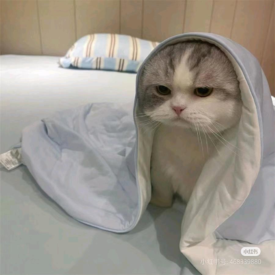 ㅗ냐ㅓ쿤ㄷㅁㄴ