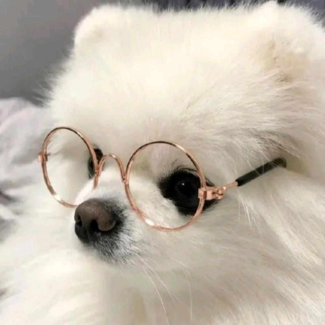 睡個好覺(¯o¯)💤