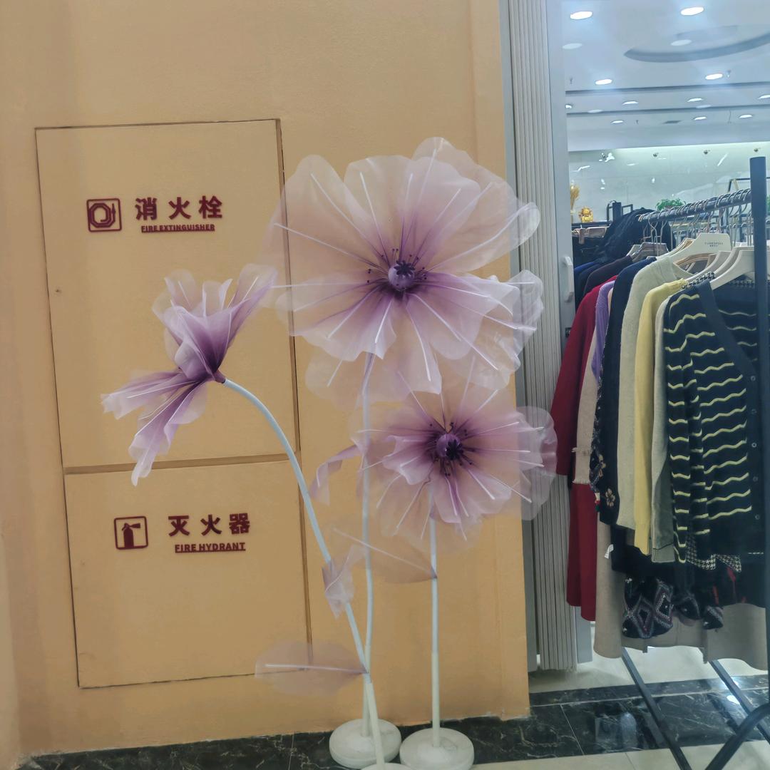 开心姐