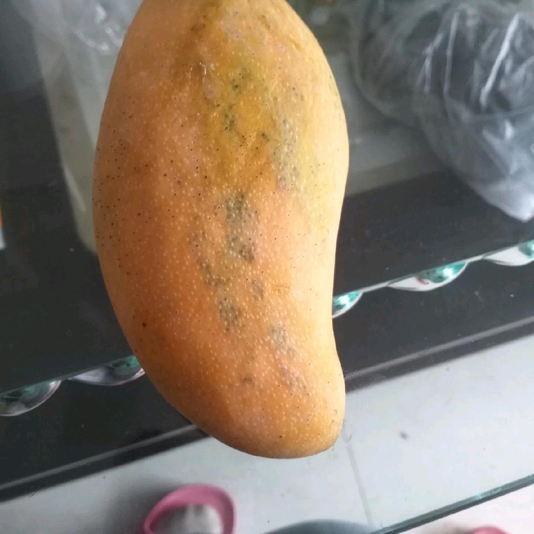 桐信自己