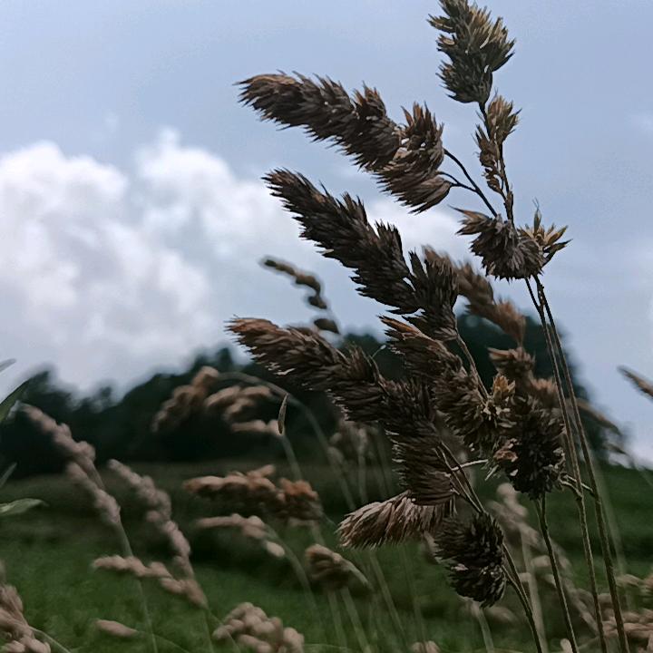 看淡