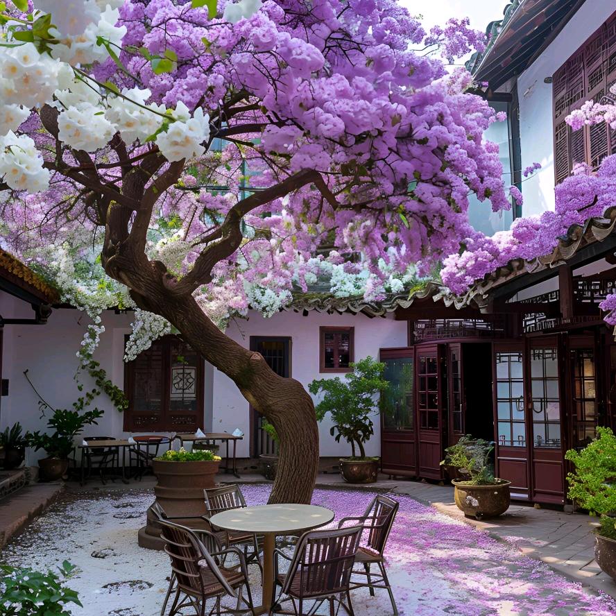 四季花城