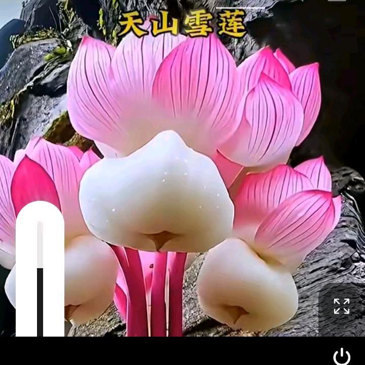 🌈希望不离不弃