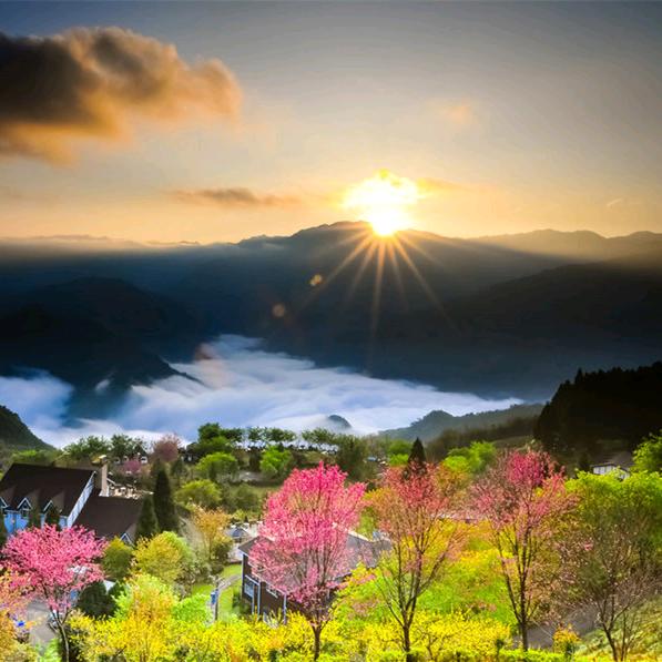 💰风生水起💞