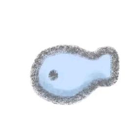 鱼の一天