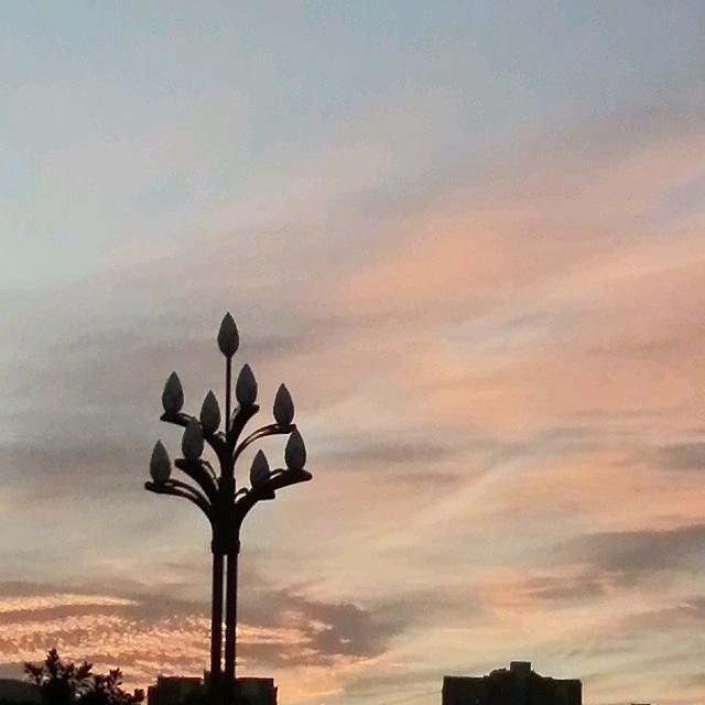 热爱是所有的理由和答案