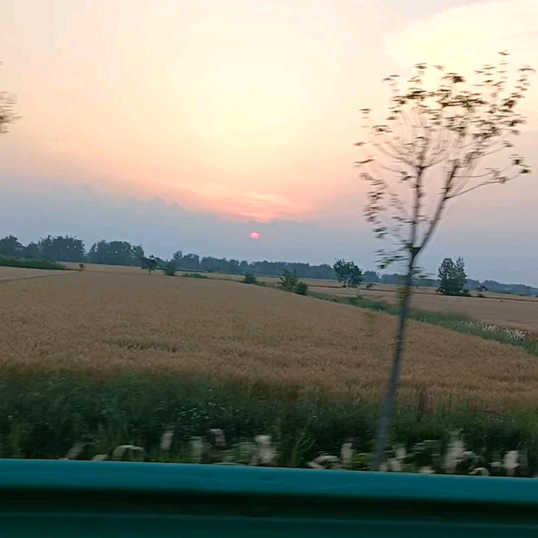 燕