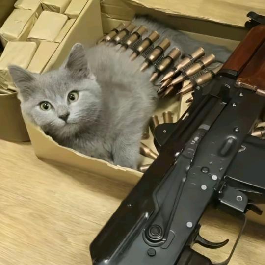 Мирон