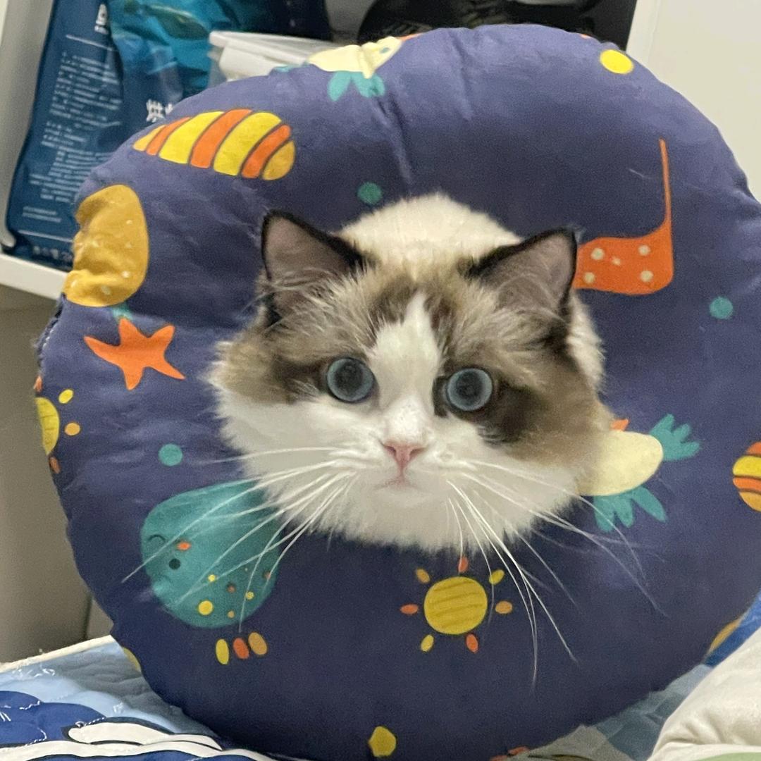 古希腊掌管AD钙的神