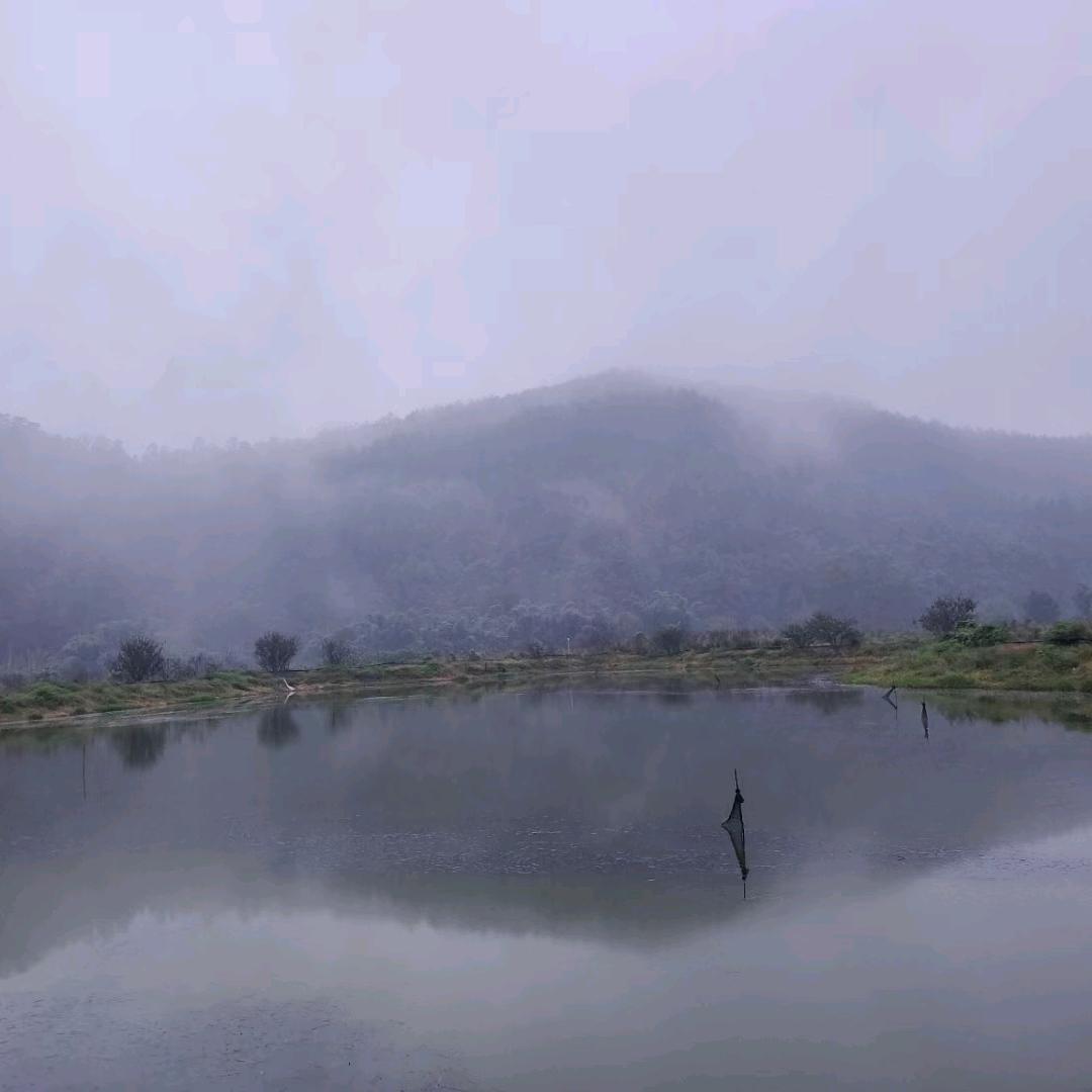 杨才彧