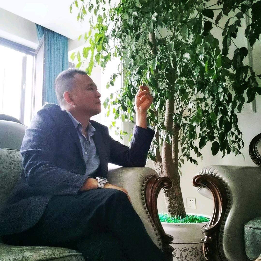 吸血鬼的拥抱🍃🐜