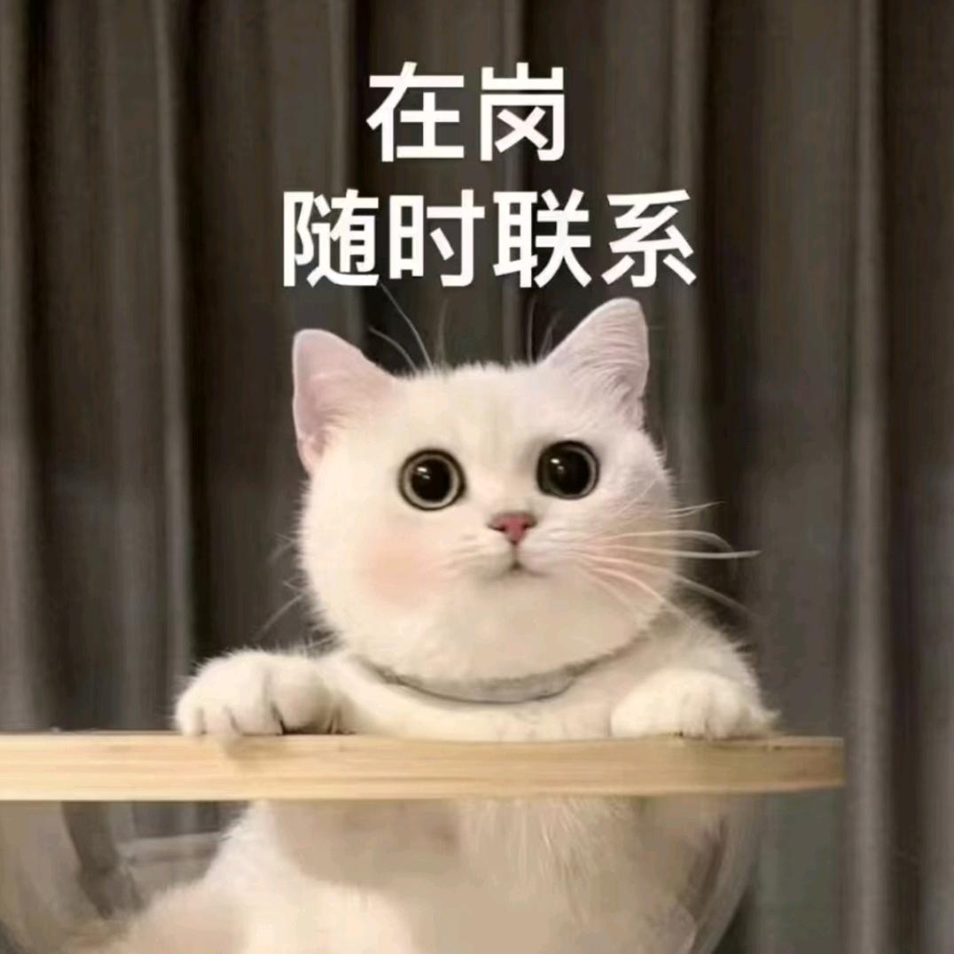 悦澜谷管家梦梦
