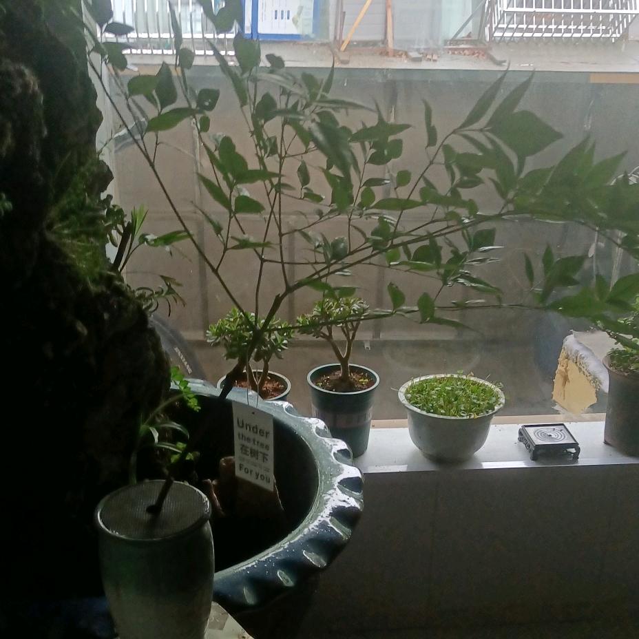 飞达门窗
