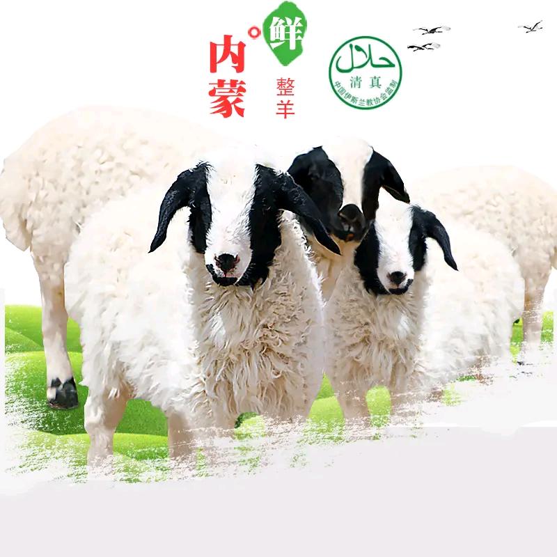 二哥流动烤全羊