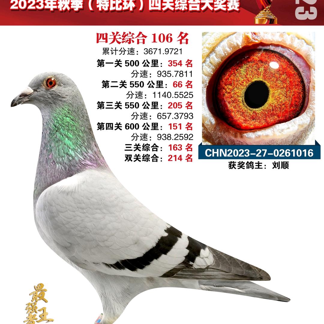 刘顺