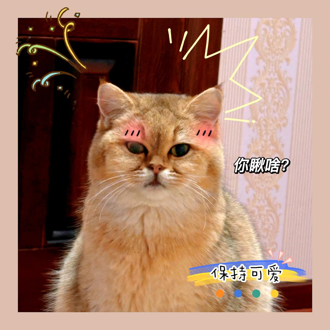 悠米团购°