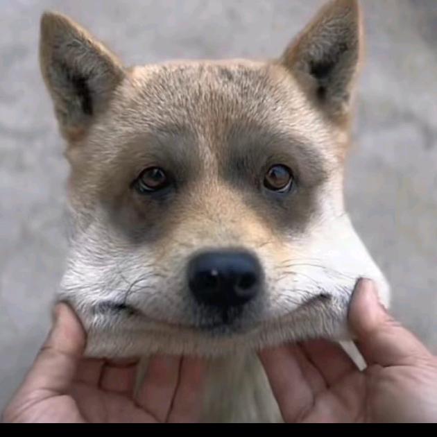 不喝甜水（养生版）