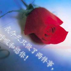 ☪时间的尘埃☪