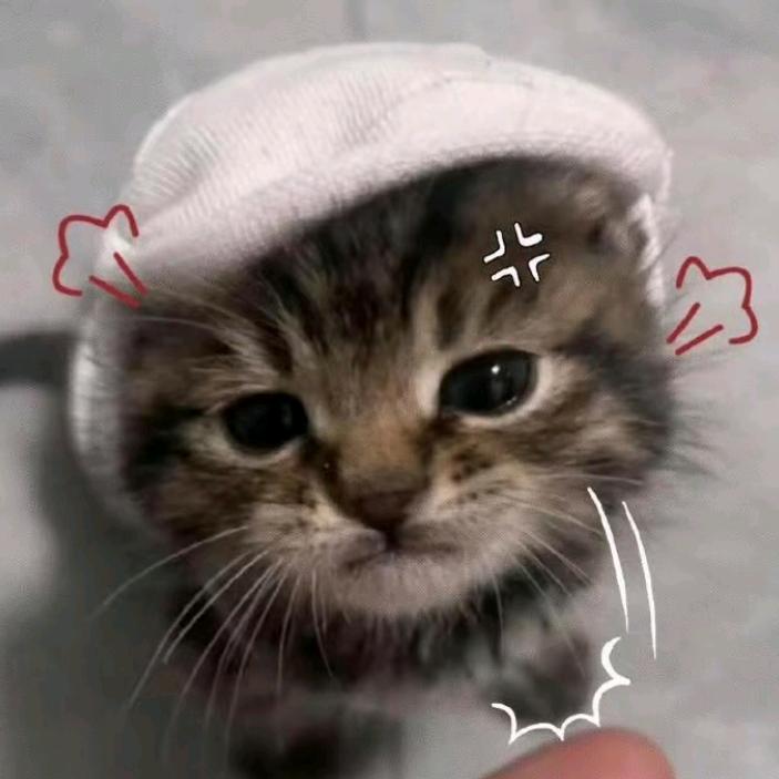 温存头像