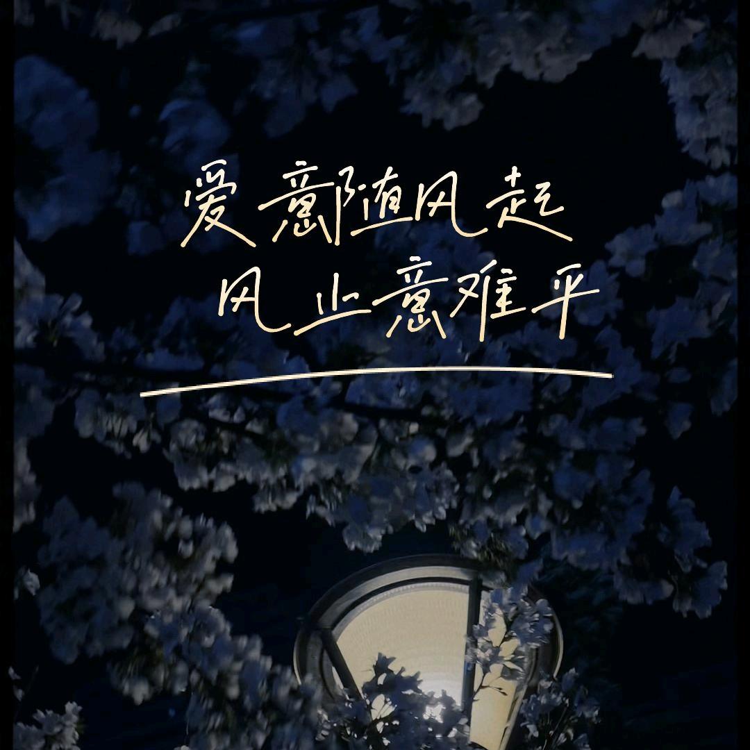 小伟2099