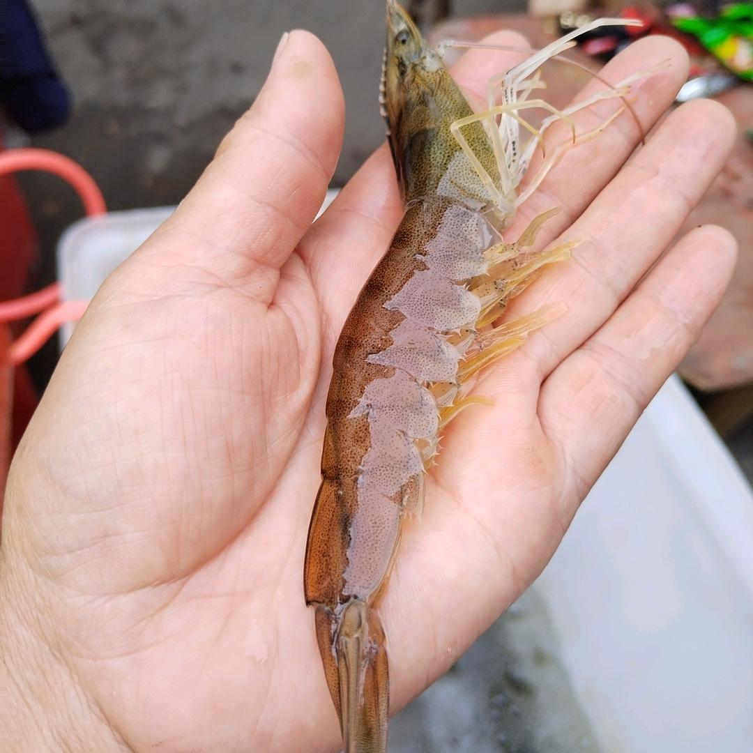 豪晴家庭农场