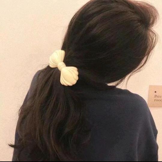 宝贝🌸花（养分版）