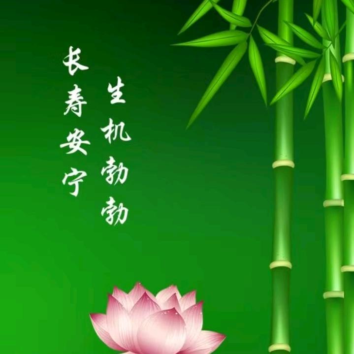平安张吉祥