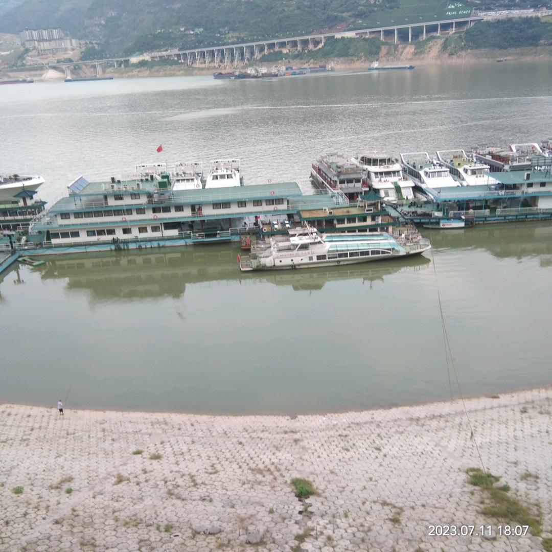 太川（杨桃姐助力号）