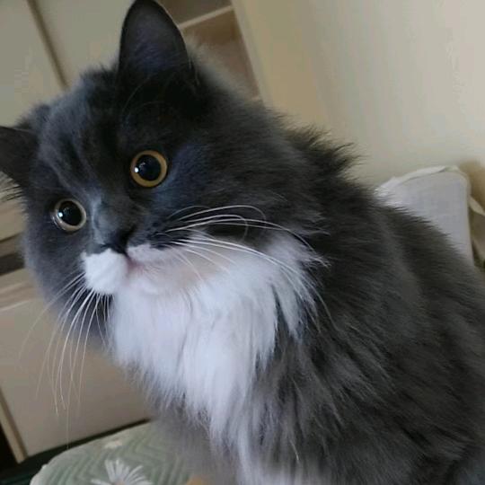 八零后日常记录