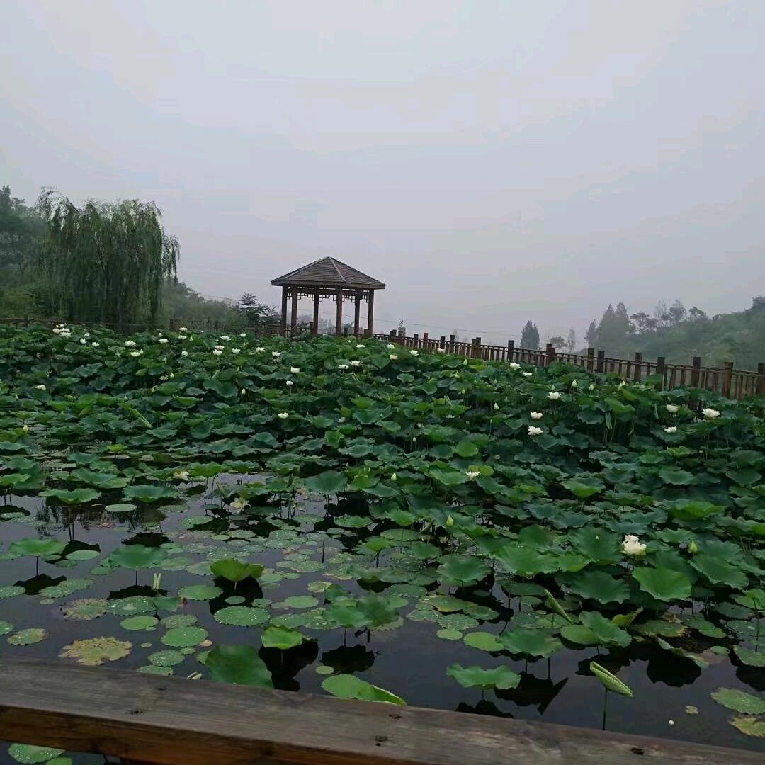 裴裴（裴你到永久）