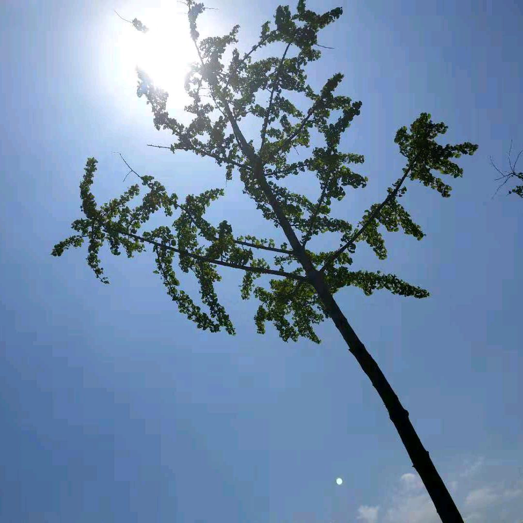 有你会很好