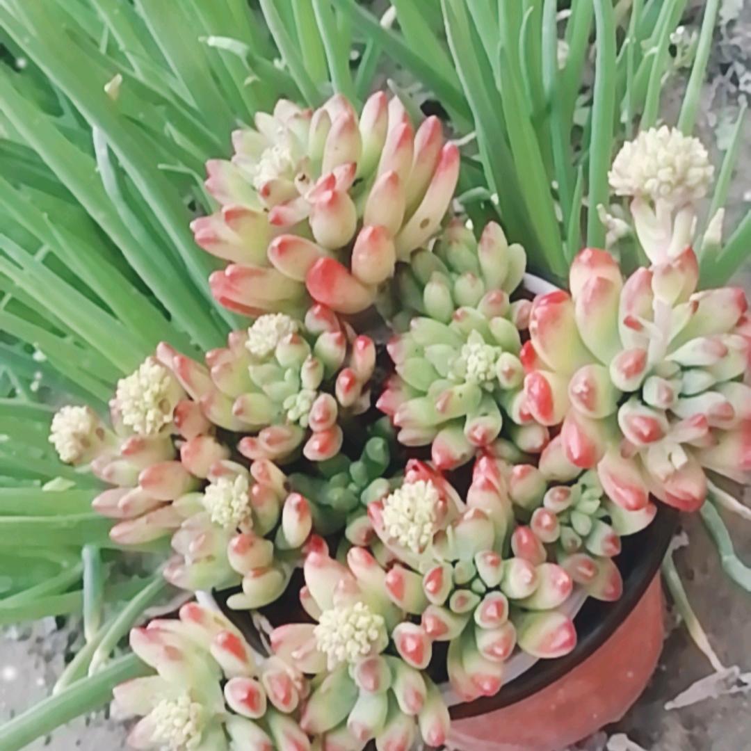 💞怡乐💕