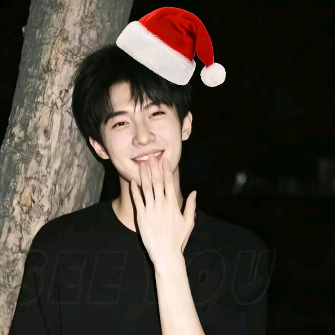 跑不动的林(减25斤版)