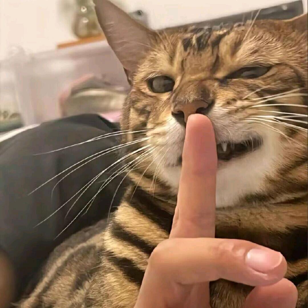 成成