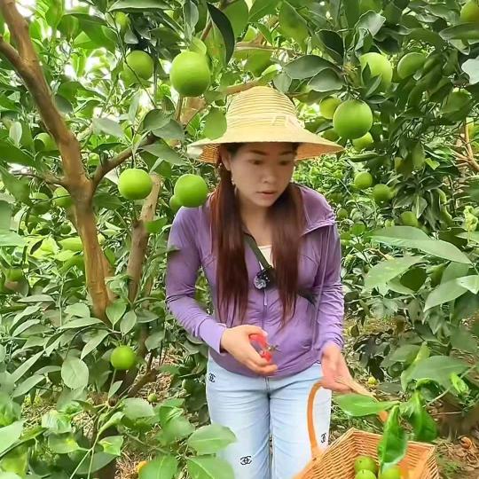 欣欣每日鲜果
