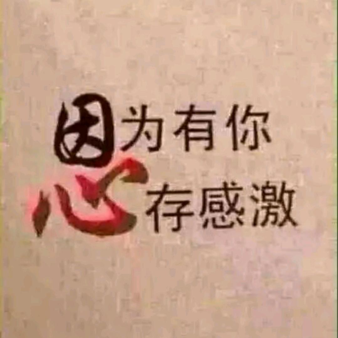杨～光