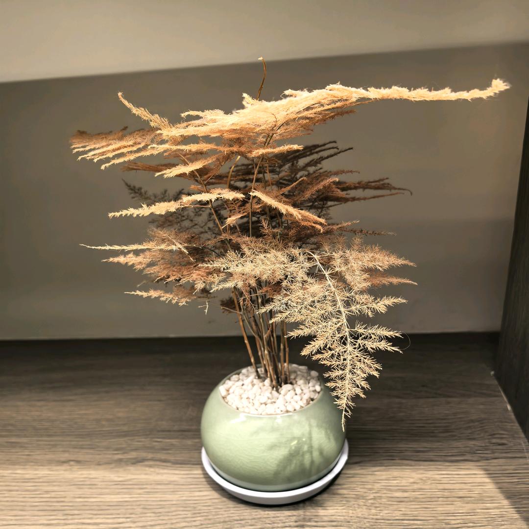 一草一木