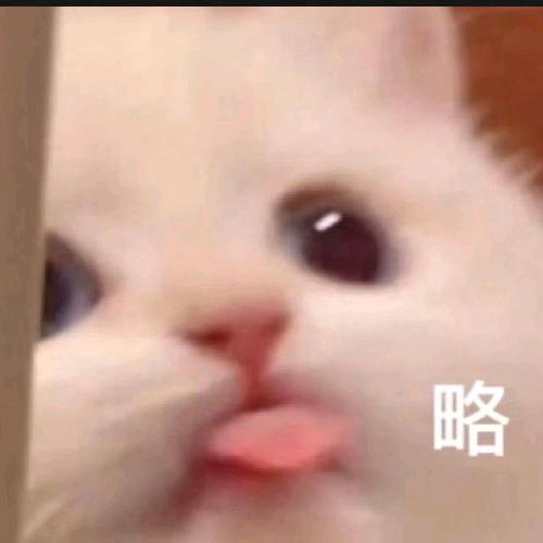 捡漏小公主