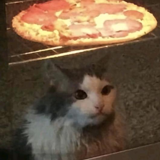 一口吃掉六块麦乐鸡的那个雨夜